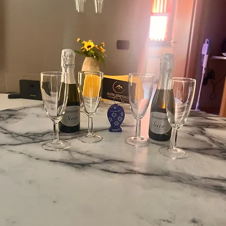 Apartment Sinfonia *