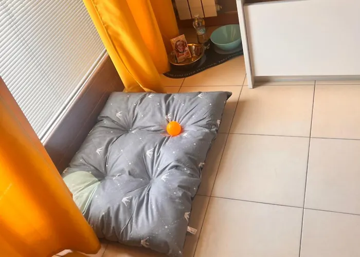 Sinfonia ベルガモ